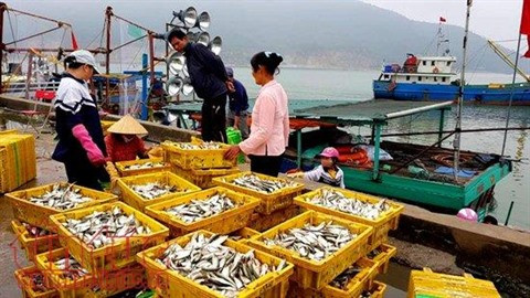 Deux ans et demi après, le littoral du Centre se relève ảnh 3 Deux ans et demi après, le littoral du Centre se relève ảnh 3