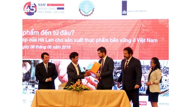 Vietnam - Pays-Bas : Coopération dans le développement de nouvelles variétés de légumes ảnh 1 Vietnam - Pays-Bas : Coopération dans le développement de nouvelles variétés de légumes ảnh 1