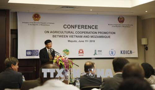 Le Mozambique apprécie l'efficacité de sa coopération avec le Vietnam dans l'agriculture ảnh 1 Le Mozambique apprécie l'efficacité de sa coopération avec le Vietnam dans l'agriculture ảnh 1