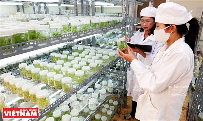 Développer les sciences et technologies, politique nationale de premier rang ảnh 2