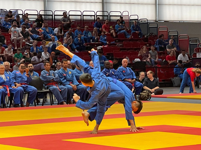 Une centaine de médaille remise à la 6e Coupe du Monde de Vovinam - Việt Võ Đạo en France ảnh 3