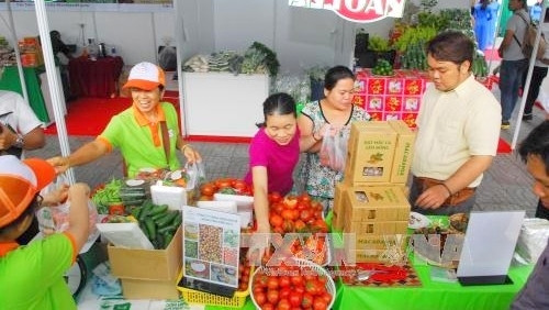 Le programme «Connexion verte en faveur d’une agriculture durable» débute à Hô Chi Minh-Ville ảnh 1 Le programme «Connexion verte en faveur d’une agriculture durable» débute à Hô Chi Minh-Ville ảnh 1