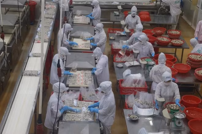 Le Viet Nam continue à constater une amélioration de ses exportations ảnh 1