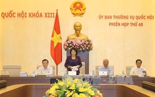 Communiqué de la 48e réunion du Comité permanent de l’Assemblée nationale ảnh 1