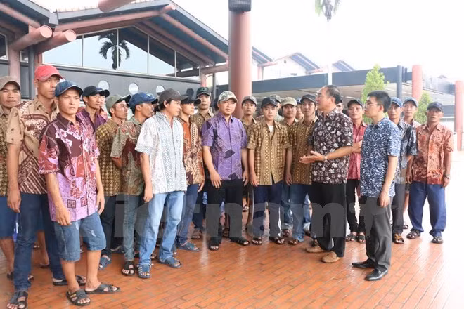 Rapatriement de 33 autres pêcheurs vietnamiens arrêtés en Indonésie ảnh 1