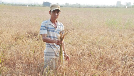 Aide de l’UE dans la lutte contre la sécheresse et la salinisation ảnh 1