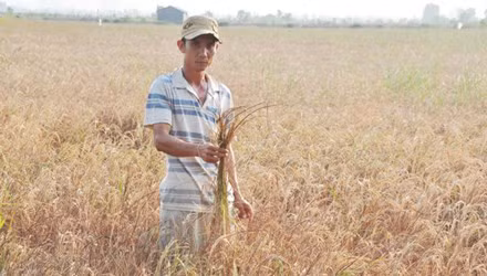 Aide de l’UE dans la lutte contre la sécheresse et la salinisation ảnh 1