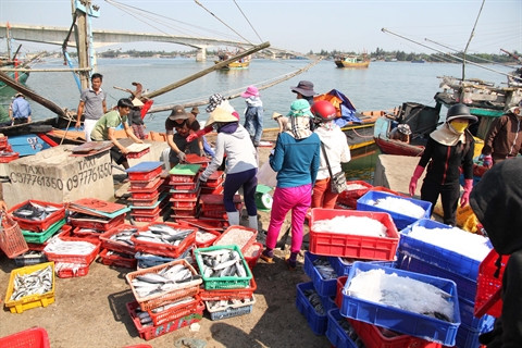 Des fonds pour soutenir la pêche dans le Centre ảnh 1 Des fonds pour soutenir la pêche dans le Centre ảnh 1