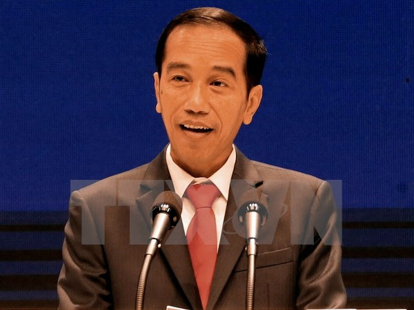 Sommet du G7 élargi : la parole sera au président indonésien ảnh 1