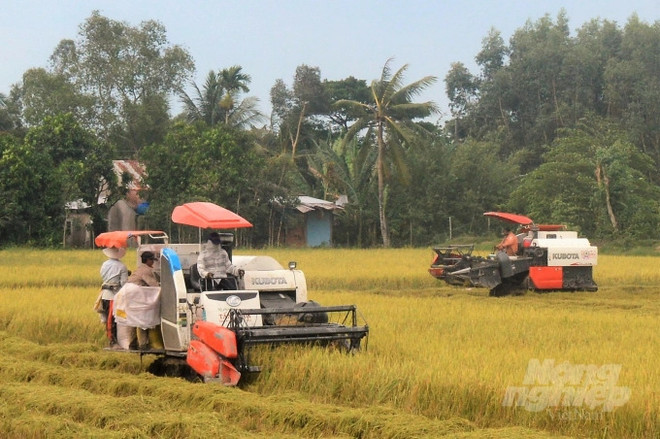 Kien Giang se concentre sur l'encouragement de l'agriculture ảnh 1 Kien Giang se concentre sur l'encouragement de l'agriculture ảnh 1