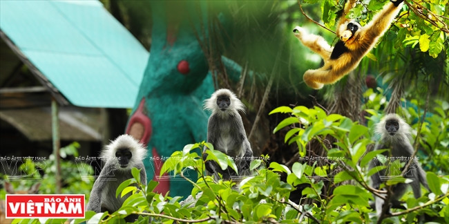 Dai Nam, complexe touristique, culturel et de loisirs d’envergure de Binh Duong ảnh 16 Dai Nam, complexe touristique, culturel et de loisirs d’envergure de Binh Duong ảnh 16