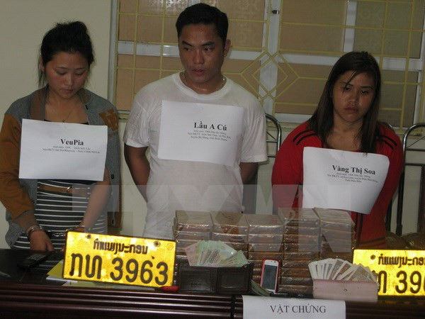 Vietnam-Laos : coopération provinciale dans la lutte contre la drogue ảnh 1 Vietnam-Laos : coopération provinciale dans la lutte contre la drogue ảnh 1