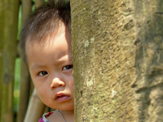 Exposition sur le Vietnam d'un peintre français ảnh 4