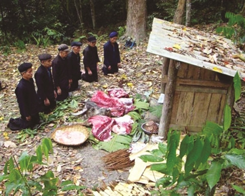 Le Génie de la forêt, un culte entre histoire et magie ảnh 2 Le Génie de la forêt, un culte entre histoire et magie ảnh 2