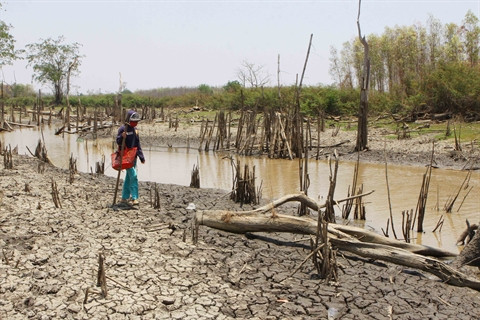 La gestion de l’eau, question clé pour le futur ảnh 1 La gestion de l’eau, question clé pour le futur ảnh 1