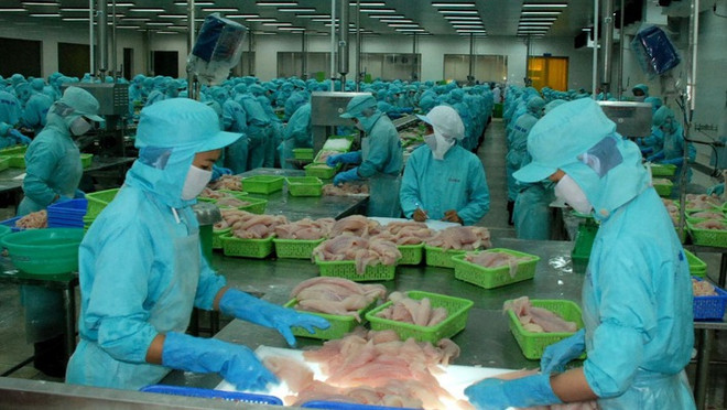 Vers une exportation durable des produits agricole, sylvicole et aquatique ảnh 1 Vers une exportation durable des produits agricole, sylvicole et aquatique ảnh 1