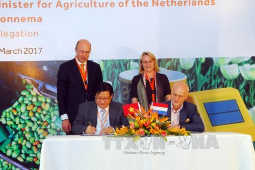 Les Pays-Bas aident le Vietnam à développer une agriculture durable ảnh 1 Les Pays-Bas aident le Vietnam à développer une agriculture durable ảnh 1