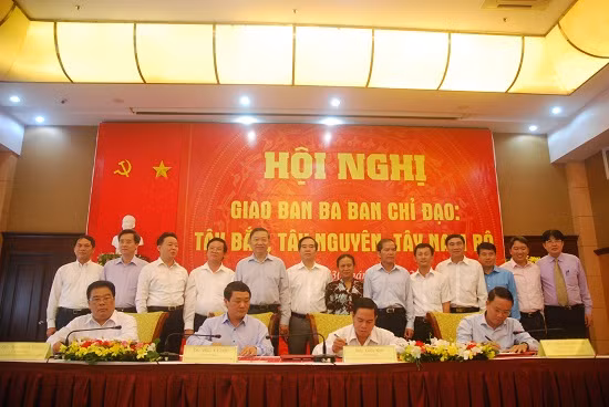 Coordination continue entre la VNA et trois comités de pilotage régionaux ảnh 1