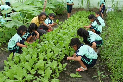Au Sud, les préparatifs pour la nouvelle année scolaire vont bon train ảnh 2 Au Sud, les préparatifs pour la nouvelle année scolaire vont bon train ảnh 2
