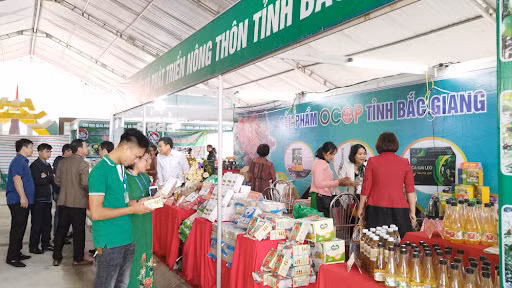 Bac Giang diversifie et améliore la qualité de ses produits OCOP ảnh 1