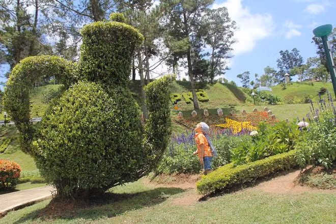 Le parc municipal de Da Lat, le rendez-vous de mille fleurs ảnh 1