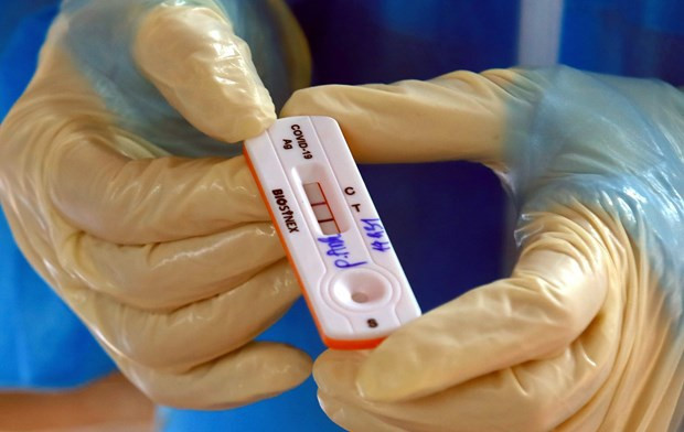 COVID-19: plus de 5.000 nouveaux cas détectés en 24 heures ảnh 1