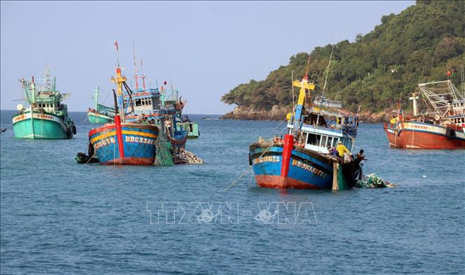 Tra Vinh redouble d’efforts pour lutter contre la pêche INN ảnh 1 Tra Vinh redouble d’efforts pour lutter contre la pêche INN ảnh 1
