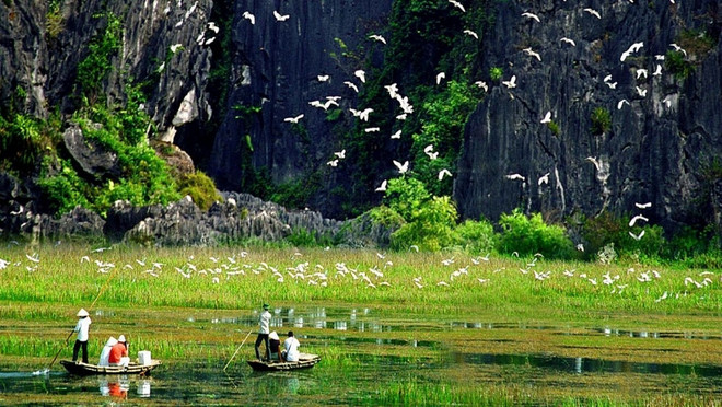 Relier le développement de l’écotourisme à la conservation de la biodiversité ảnh 1 Relier le développement de l’écotourisme à la conservation de la biodiversité ảnh 1
