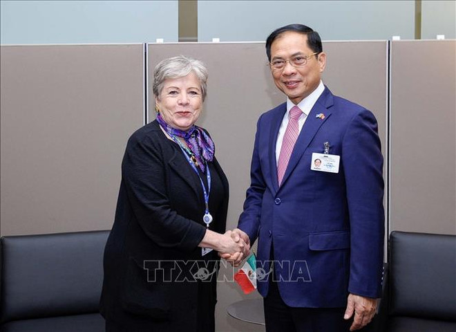 Le ministre des AE Bui Thanh Son rencontre ses homologues mexicain et iranien ảnh 2 Le ministre des AE Bui Thanh Son rencontre ses homologues mexicain et iranien ảnh 2