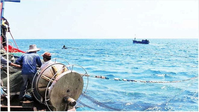  La province de Quang Ngai redouble d’efforts contre la pêche INN ảnh 1