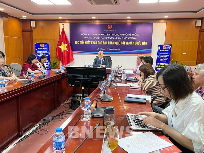 Élargir les marchés d'exportation d'herbes médicinales vietnamiennes ảnh 2 Élargir les marchés d'exportation d'herbes médicinales vietnamiennes ảnh 2