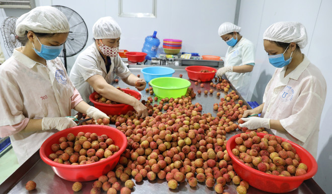 L’Australie cherche à booster les opportunités d'affaires avec le Vietnam ảnh 1 L’Australie cherche à booster les opportunités d'affaires avec le Vietnam ảnh 1