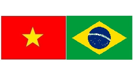 Message de condoléances suite à un accident d'avion au Brésil ảnh 1