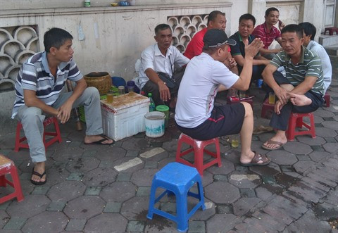 La culture du thé vert glacé ảnh 1 La culture du thé vert glacé ảnh 1