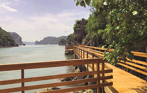 L’îlot Soi Sim, la nature tout simplement! ảnh 2 L’îlot Soi Sim, la nature tout simplement! ảnh 2