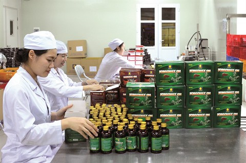 Les plantes médicinales, l’or vert de Kon Tum ảnh 2 Les plantes médicinales, l’or vert de Kon Tum ảnh 2