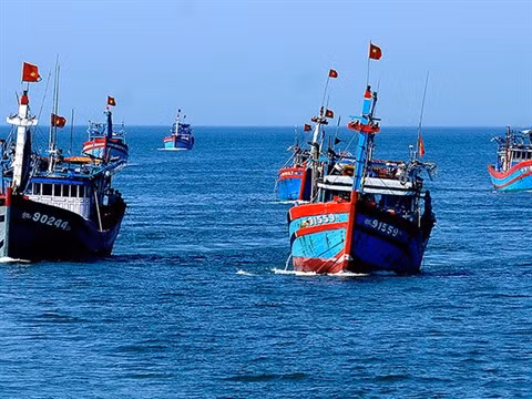 Le Vietnam ambitionne de devenir une grande puissance maritime ảnh 2