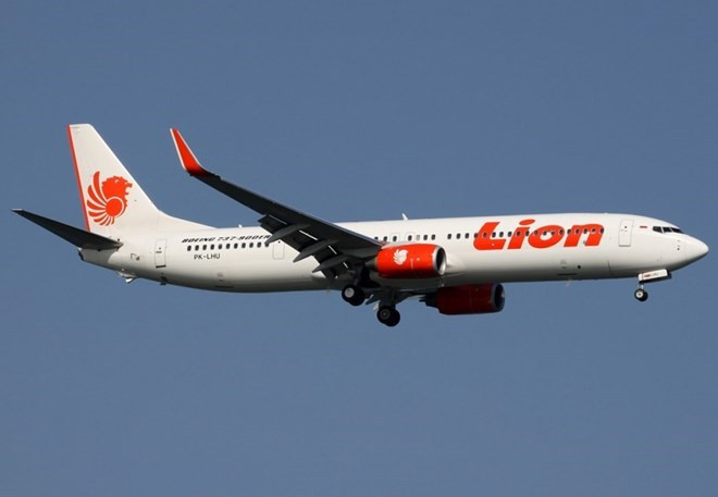 Un avion de Lion Air s’abîme en mer de Java avec 189 personnes à bord ảnh 1 Un avion de Lion Air s’abîme en mer de Java avec 189 personnes à bord ảnh 1