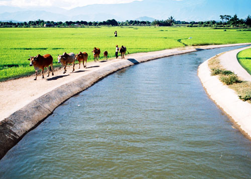 Approbation du Programme cible national d'édification d'une Nouvelle ruralité ảnh 1 Approbation du Programme cible national d'édification d'une Nouvelle ruralité ảnh 1