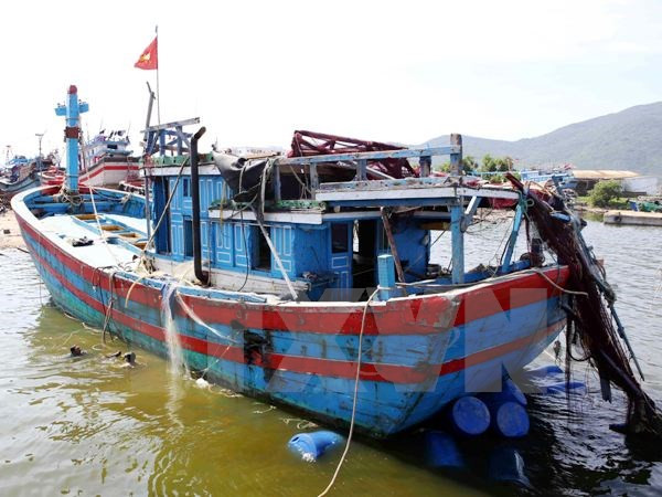 Protestation contre les attaques chinoises visant les pêcheurs vietnamiens ảnh 1