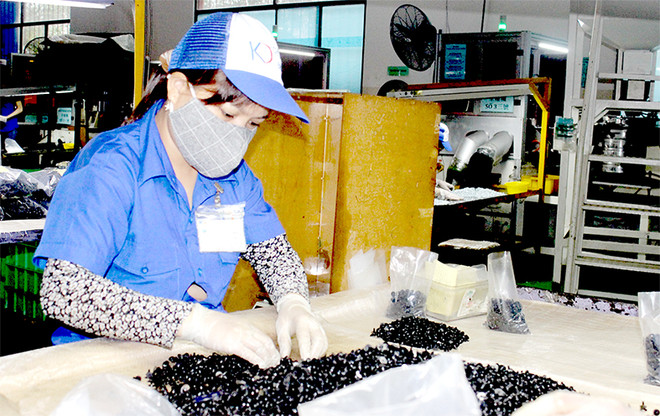 De nombreuses entreprises taïwanaises choisissent Dong Nai ảnh 1 De nombreuses entreprises taïwanaises choisissent Dong Nai ảnh 1