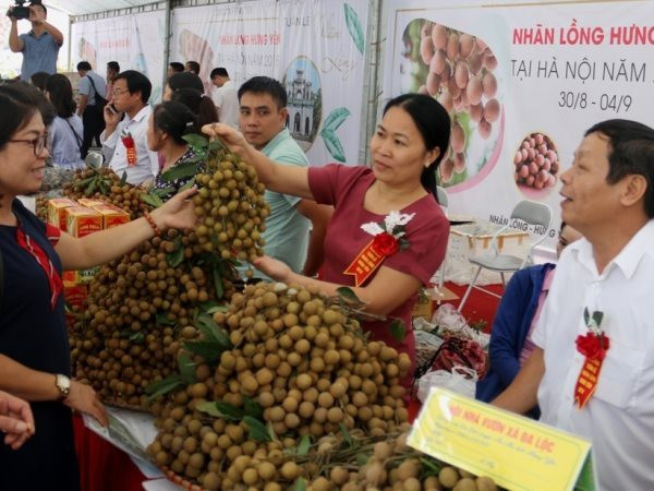 Hung Yên intensifie la promotion de ses produits agricoles ảnh 1 Hung Yên intensifie la promotion de ses produits agricoles ảnh 1