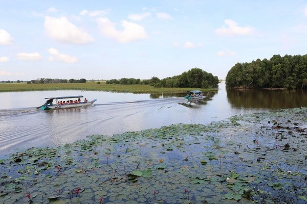 90 milliards de dôngs pour développer le tourisme durable dans le parc national de Tràm Chim ảnh 1 90 milliards de dôngs pour développer le tourisme durable dans le parc national de Tràm Chim ảnh 1