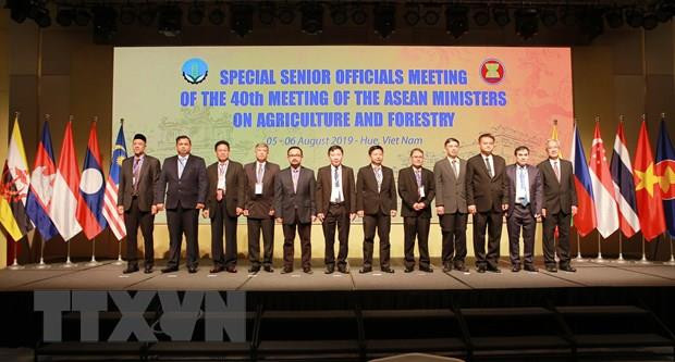 Ouverture de la réunion des hauts officiels du secteur agro-sylvicole de l’ASEAN ảnh 1 Ouverture de la réunion des hauts officiels du secteur agro-sylvicole de l’ASEAN ảnh 1