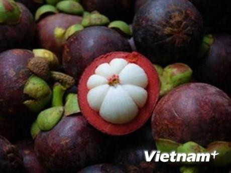 Exportations de fruits et légumes en hausse de 0,13% en sept mois ảnh 1