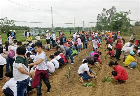 Quand maraîchage rime avec tourisme à Dà Nang ảnh 2 Quand maraîchage rime avec tourisme à Dà Nang ảnh 2