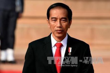 Indonésie: Joko Widodo annonce la liste du nouveau cabinet ảnh 1 Indonésie: Joko Widodo annonce la liste du nouveau cabinet ảnh 1