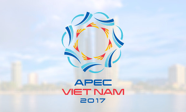 APEC 2017: le Vietnam propose quatre initiatives de coopération financière ảnh 1