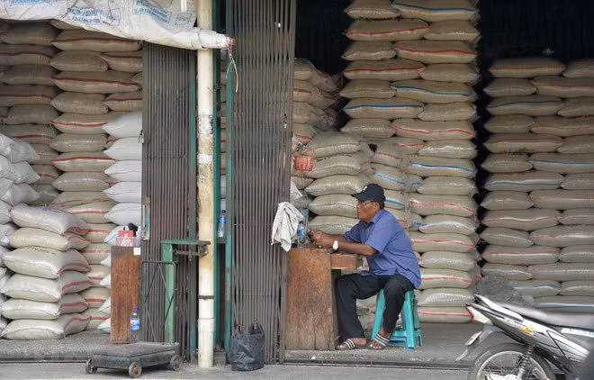 L’Indonésie vise les exportations de 500.000 tonnes de riz en 2020 ảnh 1
