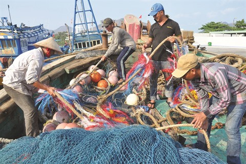 Le Vietnam progresse dans la lutte contre la pêche INN ảnh 1 Le Vietnam progresse dans la lutte contre la pêche INN ảnh 1